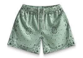 Bravest Studios Paisley Shorts Pistachio